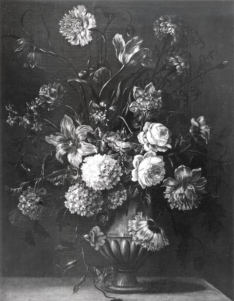 Lucchetti, Domenico — Autore non indicato - sec. XVII/ XVIII - Natura morta con vaso di fiori — insieme